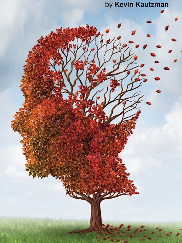 Dream of Perfect Sleep