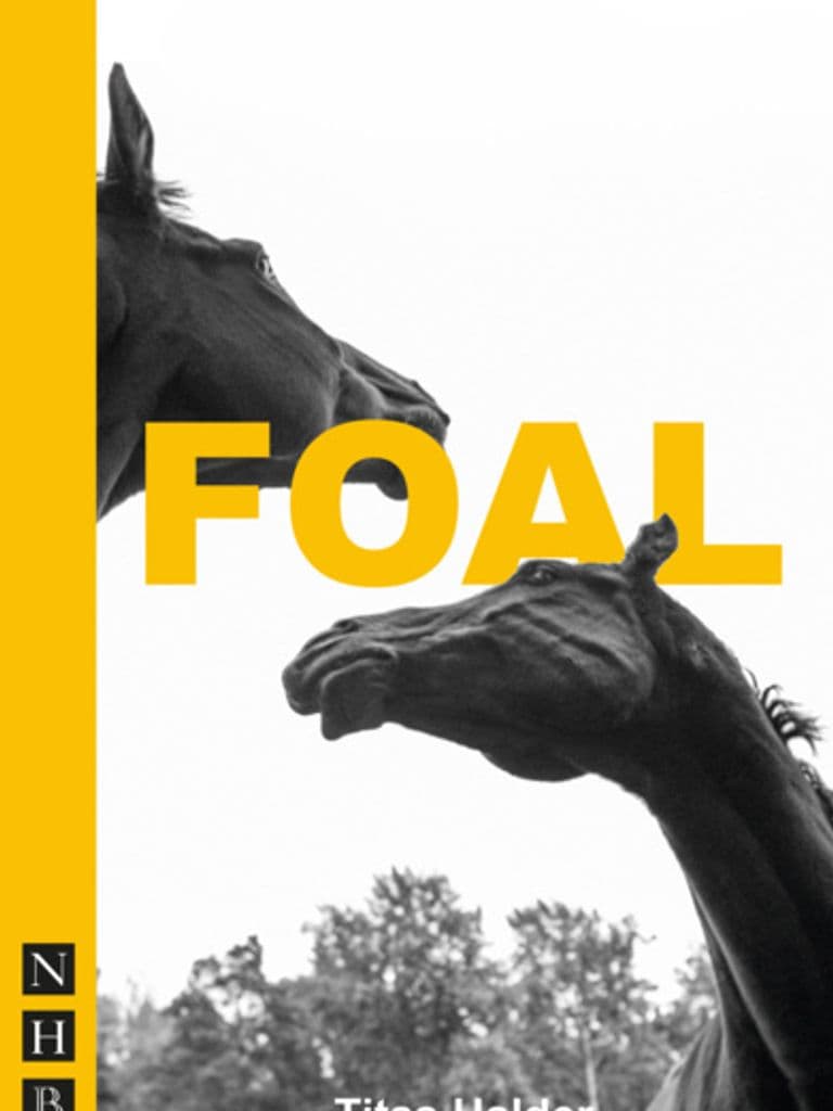 Foal